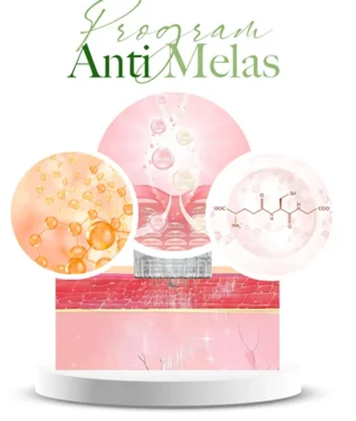 ภาพประกอบโปรแกรม Anti-Melas